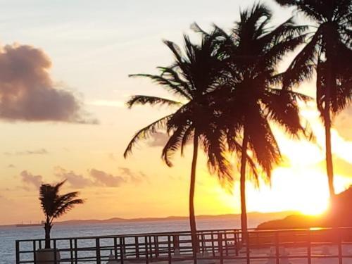 Ondina Apart Hotel - Apto 511