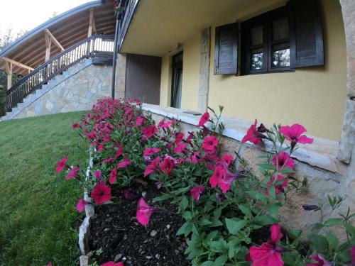 Hostal Vila Jovanka Zlatibor