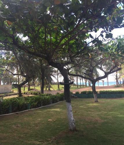 Suspiro Da Bahia P� Na Areia