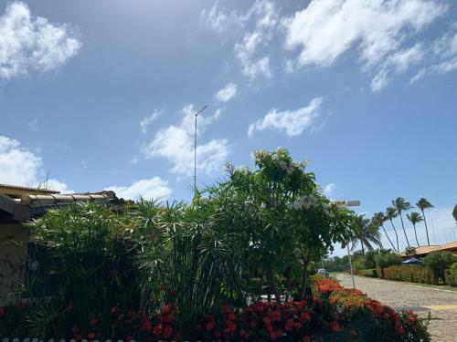 Casa De Praia Em Barra Do Jacuipe Bahia