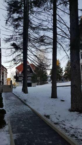 Apartman Grbovic Titova Vila