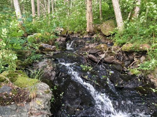 Lilla Hal�ngen Cottages