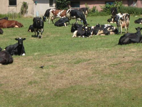 Agroturismo Stixered Fegen