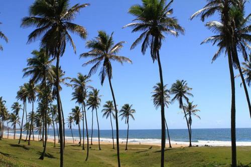 Apartamento Jardim Arma��o 002 - T�rreo