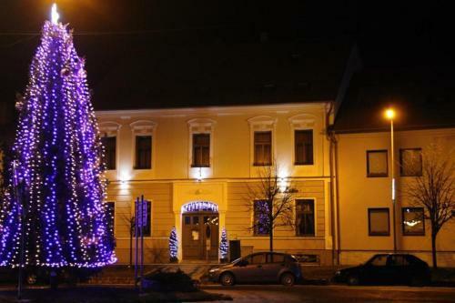 Hostal Penzi�n Leibic
