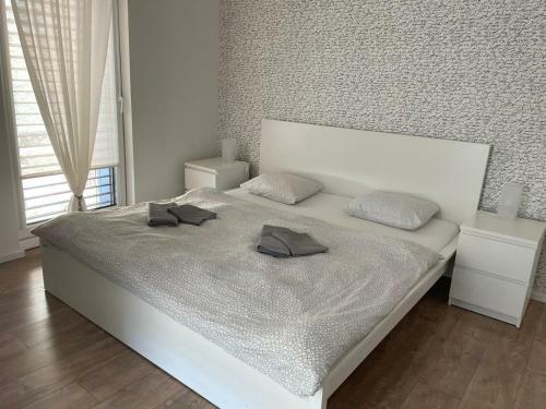 Apartm�n V Centre Michaloviec