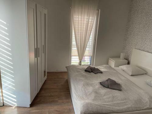 Apartm�n V Centre Michaloviec
