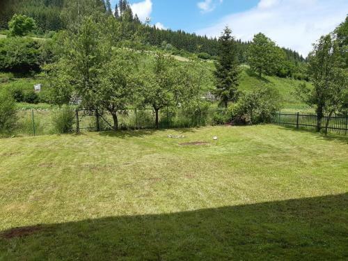 Oravsk� Dreveni?ka