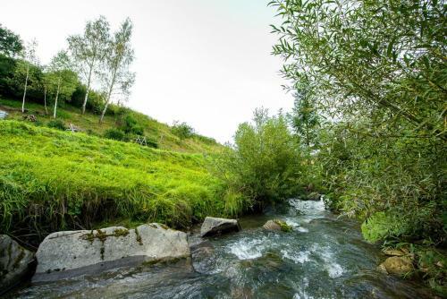 Oravsk� Dreveni?ka