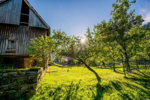 Oravsk� Dreveni?ka