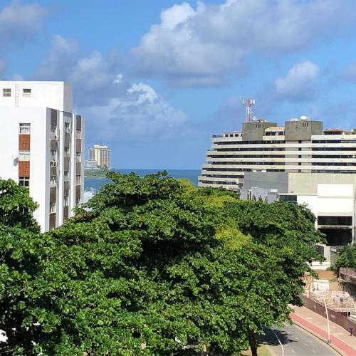 Apartamento Studio Charmoso F�rias E Trabalho