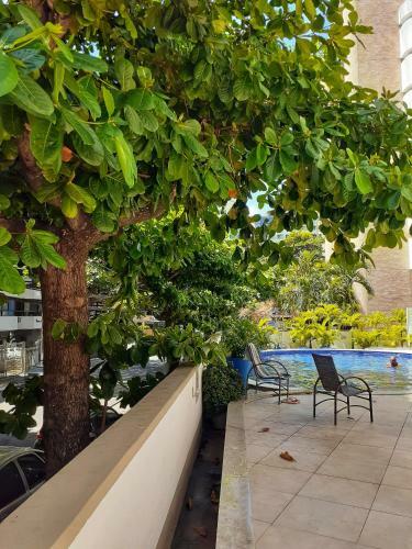 Apartamento Studio Charmoso F�rias E Trabalho