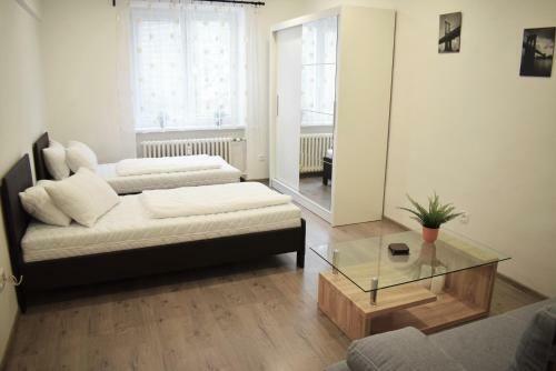 Center City Apartment