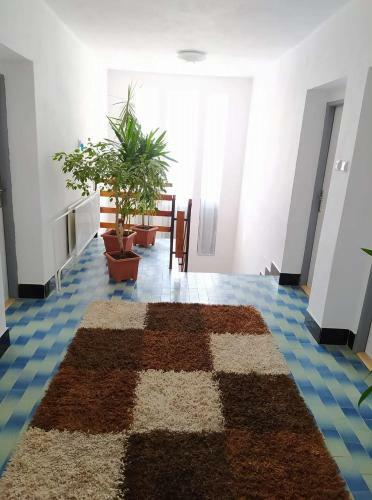 Hostal Ubytovanie V S�krom� Dalica S.r.o.