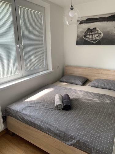 Apartm�n Volt�rka