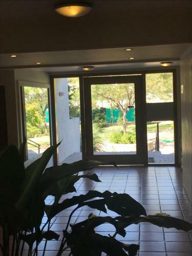 Apartamento Excelente Departamento En Plena Ciudad , Un Oasis