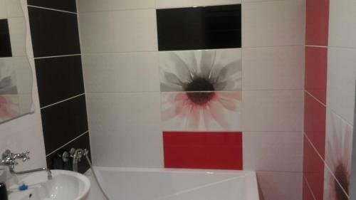 Apartm�n Tatry-nov� Lesn�