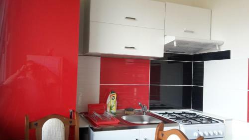 Apartm�n Tatry-nov� Lesn�