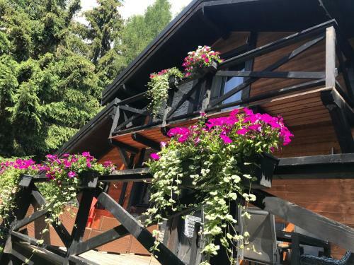 Chalet Ra?kova Dolina
