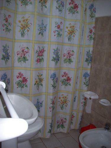 Caba�as Auquin Lemu