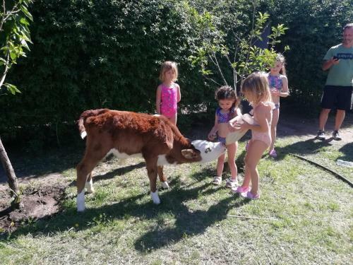 Apartamento El Algarrobo Escondido