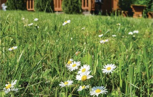 Holiday Home Cisowa M-928