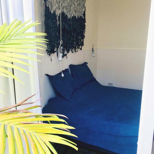 Apartamento Casa Con Dos Habitaciones Y Dos Patios