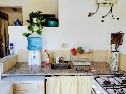 Apartamento H�bitat Gonnet