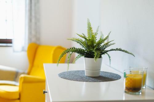 Vila Ol�via - Apartm�n Ol�via 1
