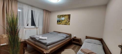 Vladim�ra Apartm�n Telg�rt