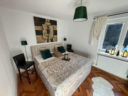 Gozdni Raj Rogla Apartma