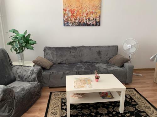 Apartment T8