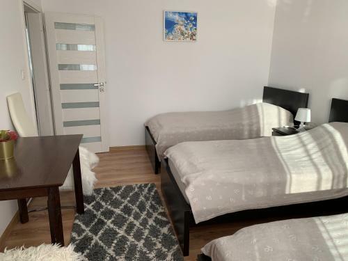 Apartment T8