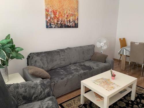 Apartment T8