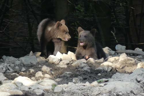 Agroturismo Pension Na Meji