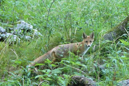 Agroturismo Pension Na Meji
