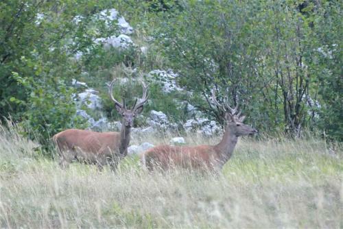 Agroturismo Pension Na Meji