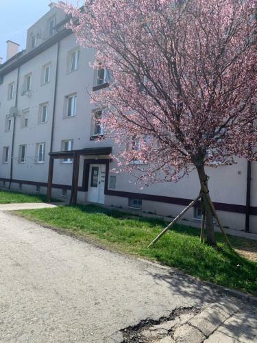 Apartmen Zelenecska