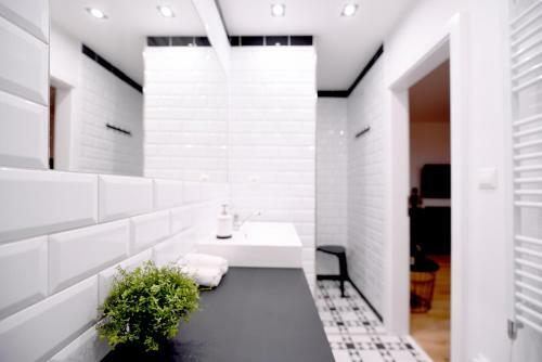Apartm�n S �triom V Historickom Centre