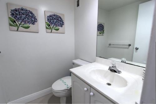 Apartamentos Hollywood Condo's