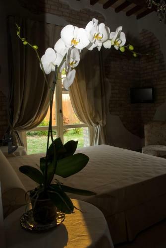 Apartamento Villa Gruccione