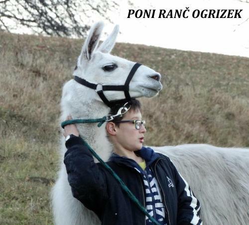 Apartamento Eko Poni Ran? Ogrizek