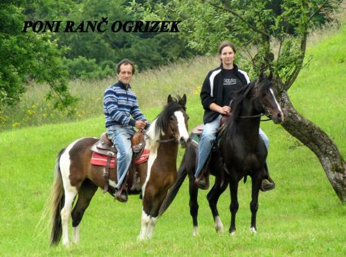 Apartamento Eko Poni Ran? Ogrizek