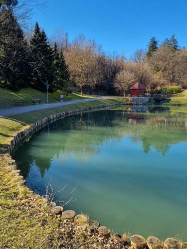 Apartma Pemaks, Terme Olimia