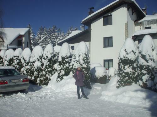 Apartamento Villa Bozovic