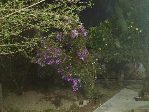 Hostal Hospedaria V� Schutz 2