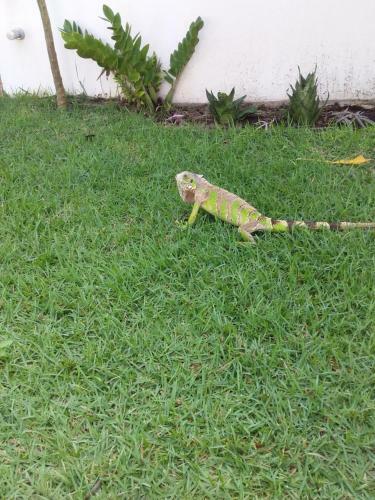 Hostal Su�te Das Flores Em Guajiru