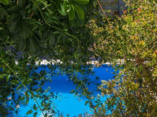 Apartamento Paradise Departamentos