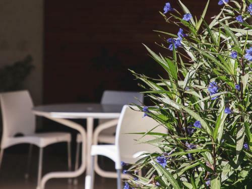 Apartamento Paradise Departamentos