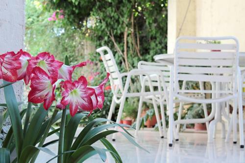 Apartamento Paradise Departamentos